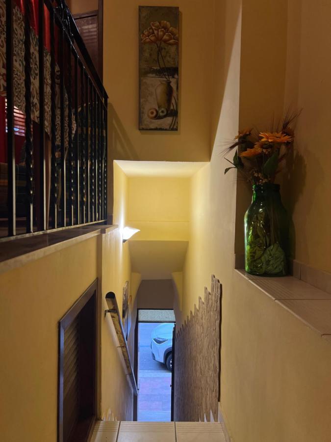 Delfino House Βίλα Terrasini Εξωτερικό φωτογραφία
