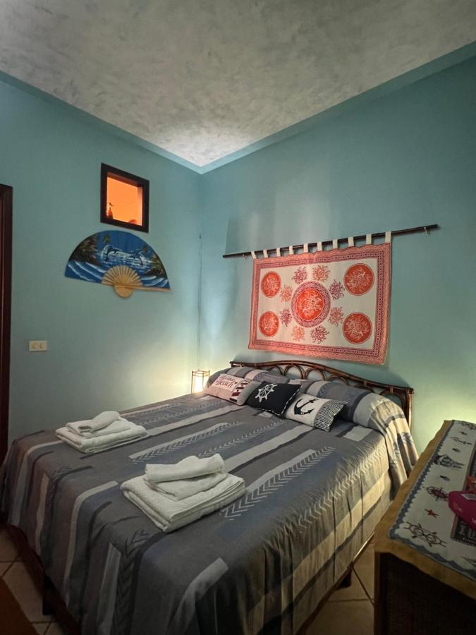 Delfino House Βίλα Terrasini Εξωτερικό φωτογραφία