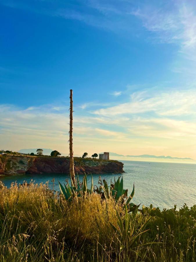 Delfino House Βίλα Terrasini Εξωτερικό φωτογραφία